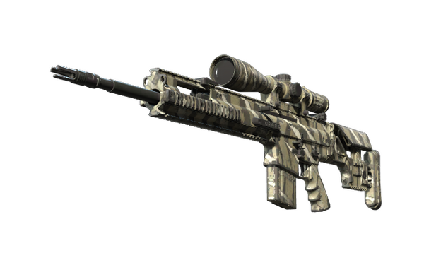 scar-20-torn