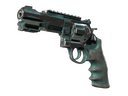 R8 Revolver | Canal Spray (Battle-Scarred)