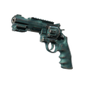 R8 Revolver | Canal Spray