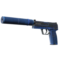 StatTrak™ USP-S | Blueprint (Well-Worn)