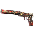 USP-S | Kill Confirmed