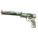 Souvenir USP-S | Road Rash (Field-Tested)