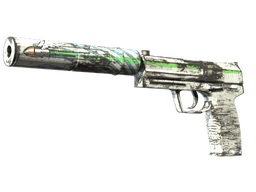 Souvenir USP-S | Road Rash (Factory New)