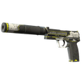 USP-S | Torque