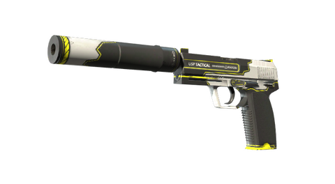 USP-S | Torque (Factory New)