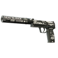 USP-S | Ticket to Hell