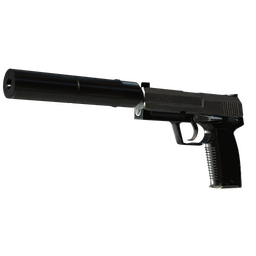 StatTrak™ USP-S | Stainless (Field-Tested)