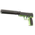 USP-S | Para Green