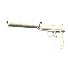 USP-S | Whiteout (Factory New)