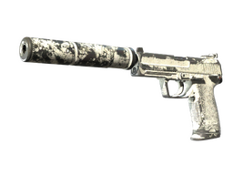 USP-S | Whiteout (Battle-Scarred)