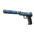 USP-S | Silent Shot (Battle-Scarred)
