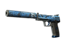 USP-S | Silent Shot (Battle-Scarred)