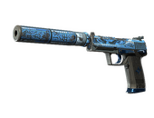 USP-S | Silent Shot (Battle-Scarred)