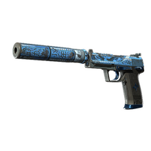 USP-S | Silent Shot (Battle-Scarred)