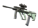 Souvenir AUG | Storm (Battle-Scarred)