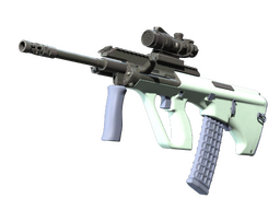 Souvenir AUG | Storm (Factory New)