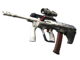 StatTrak™ AUG | Arctic Wolf (Minimal Wear)