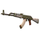 AK-47 | Aphrodite (Well-Worn)