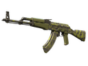 AK-47 | Olive Polycam (Well-Worn)