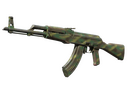 AK-47 | Jungle Spray (Field-Tested)
