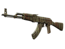 AK-47 | Predator (Well-Worn)