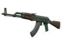 AK-47 | Wintergreen (Battle-Scarred)