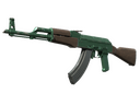 AK-47 | Wintergreen (Well-Worn)
