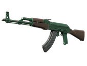 AK-47 | Wintergreen (Well-Worn)