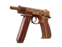 CZ75-Auto | Honey Paisley (Well-Worn)