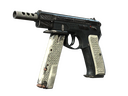 CZ75-Auto | Imprint (Battle-Scarred)
