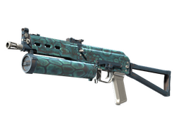 PP-Bizon | Cold Cell