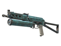 PP-Bizon | Cold Cell