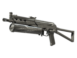 PP-Bizon | Bizoom