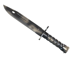 ★ Bayonet | Scorched
