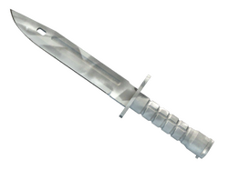 ★ StatTrak Bayonet | Urban Masked
