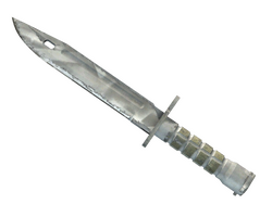 ★ Bayonet | Urban Masked