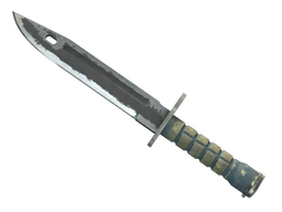 ★ Bayonet | Night (Battle-Scarred)