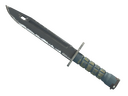 StatTrak™ Bayonet | Night (Field-Tested)