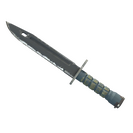 ★ Bayonet | Night (Field-Tested)