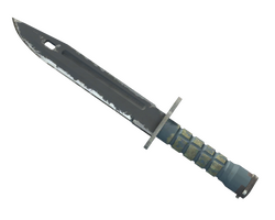 ★ Bayonet | Night