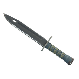 ★ StatTrak&trade; Bayonet | Night
