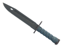 Bayonet | Night (Minimal Wear)