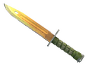 Bayonet | Lore (Well-Worn)