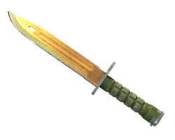 ★ Bayonet | Lore