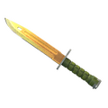 ★  Bayonet | Lore