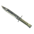 ★  Bayonet | Stained