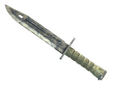 Bayonet | Stained (Battle-Scarred)