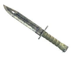 ★ Bayonet | Stained
