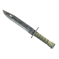 ★  Bayonet | Stained