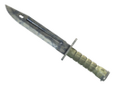 Bayonet | Stained (Well-Worn)